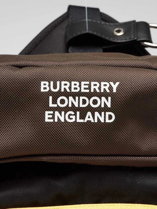 Burberry Brown/Black Nylon Leo Belt Pouch Crossbody Bag main image 8